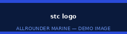 GST Icon